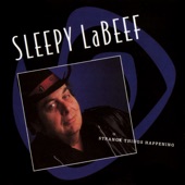 Sleepy LaBeef - Sittin' On Top of the World