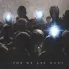 For We Are Many album lyrics, reviews, download