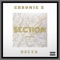 Section (feat. Delta) - Chronic E lyrics