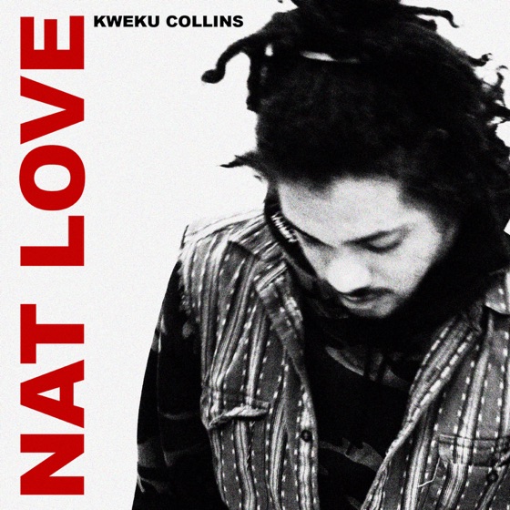 Cover artwork for Nat's Intro