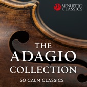 Clarinet Concerto in A Major, K. 622: II. Adagio artwork