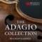 Adagio in G Minor artwork