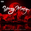 young money, drake - trophies