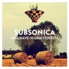 Subsonica - Di domenica