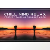 Chill Mind Relax: Perfect Calming Chillout Vibes - Soothing Sounds for Mind and Body, Best Restful Summer Hits, Holiday Lounge artwork