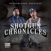 Shotgun Chronicles (Shell 1) artwork