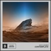 Contemplate - Single