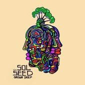 Sol Seed - Believe (The Truth)