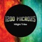 Hilight Tribe - 1200-Microns lyrics