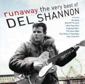 Del Shannon - Keep Searchin' (We'll Follow the Sun)