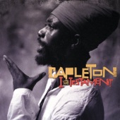 Babylon A Use Dem Brain (feat. Sizzla) artwork
