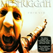 Meshuggah - War