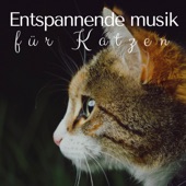 Entspannende musik für Katzen - Extrem entspannende Lieder, um Ihre Haustiere zu beruhigen, entspannende Musik mit Naturgeräuschen artwork