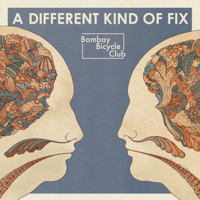 Bombay Bicycle Club - A Different Kind of Fix artwork