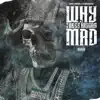 Why These N****s Mad (feat. Paid'will & Cashclickboog) - Single album lyrics, reviews, download
