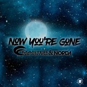 Now You're Gone (Extended Mix) artwork