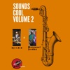 Sounds Cool, Vol. 2