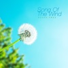 Andantino - If You Close Your Eyes