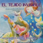 El Tejido Invisible artwork