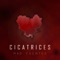 Cicatrices - Mad Fuentes lyrics