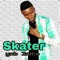 Skater artwork