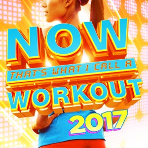 NOW That's What I Call a Workout 2017