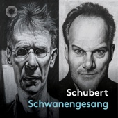 Schubert: Schwanengesang, D. 957 artwork
