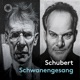 SCHUBERT/SCHWANENGESANG cover art