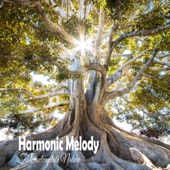 Harmonic Melody To Contemplate Nature artwork