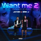 Want Me 2 (feat. Erin J) artwork