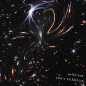 cosmic collective - Is It Real