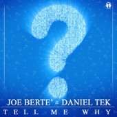 Tell Me Why? (Extented Mix) artwork