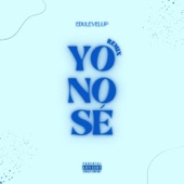 Yo No Sè (Remix) artwork