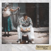 Backroom (feat. Kwesta) artwork