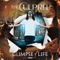 Glimpse of Life by The Culprit album reviews, ratings, credits
