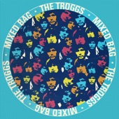 The Troggs - There's Something About You