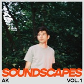 Soundscapes, Vol.1 (DJ Mix) artwork