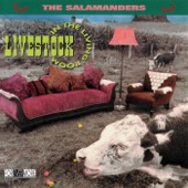 The Salamanders - Coyote Rock