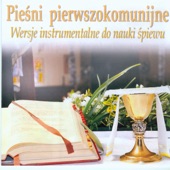 Pieśni Pierwszokomunijne (Wersje Instrumentalne Do Nauki Śpiewu) [Wersje Instrumentalne] artwork