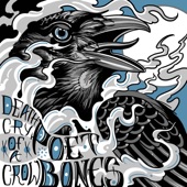 Death Cry of a Crow artwork
