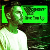 Give You Up (Extended Mix) artwork