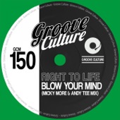 Blow Your Mind (Micky More & Andy Tee Extended Mix) artwork