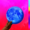 Wale - Fish n Grits (feat. Travis Scott)
