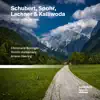 Schubert, Spohr, Lachner & Kalliwoda: Songs with Clarinet album lyrics, reviews, download
