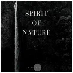 Birds and Waterfall - EP by Spirit of Nature album reviews, ratings, credits