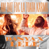 Am dat foc la toata karma (feat. Lele) artwork