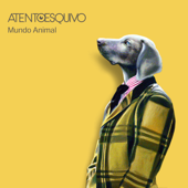 Mundo Animal - Atentoesquivo