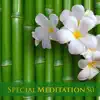 Special Meditation 50 - Spa Songs for Breathing Meditation and Guided Mindfulness Meditation Imagery for an Unforgettable Paradise album lyrics, reviews, download