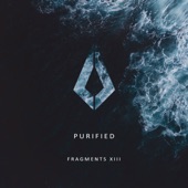 Purified Fragments XIII artwork