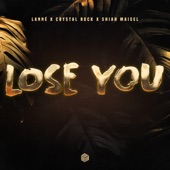 Lose You artwork